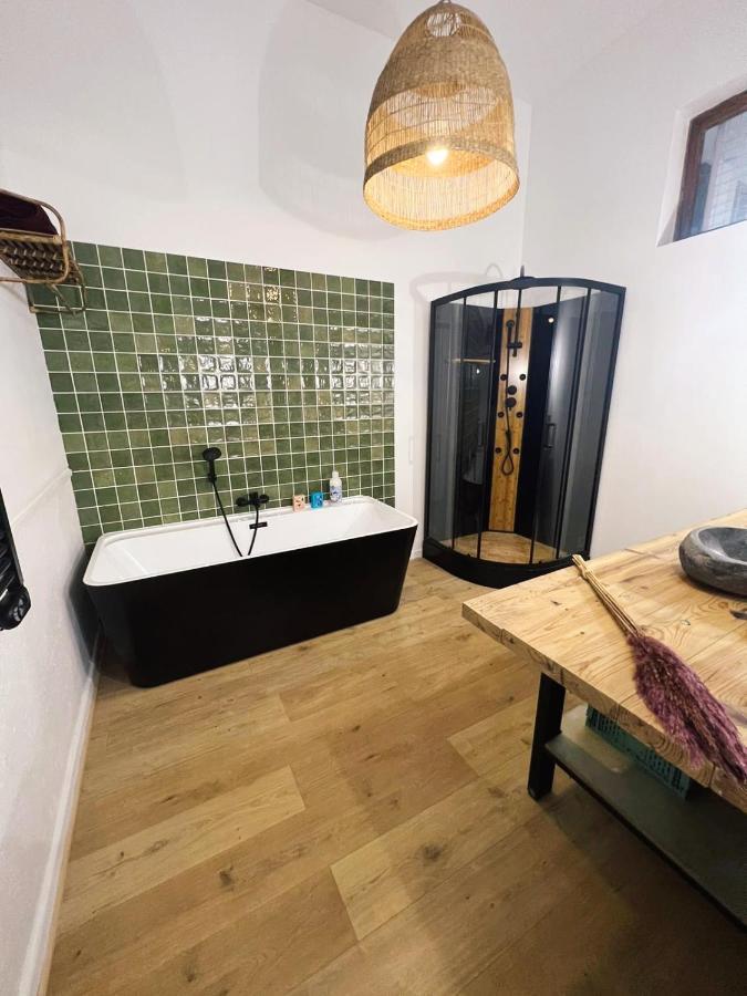 Appartement Studio Loft Cosy Centre St Etienne Saint-Etienne  Esterno foto